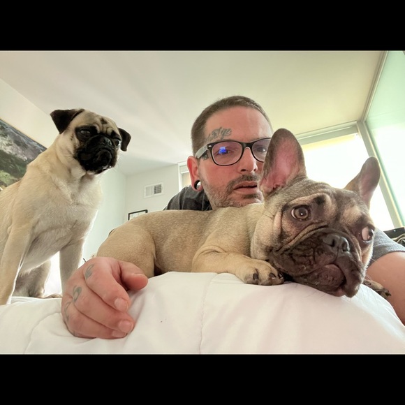 Meet your Posher, Nicholas - Picture 4 of 7